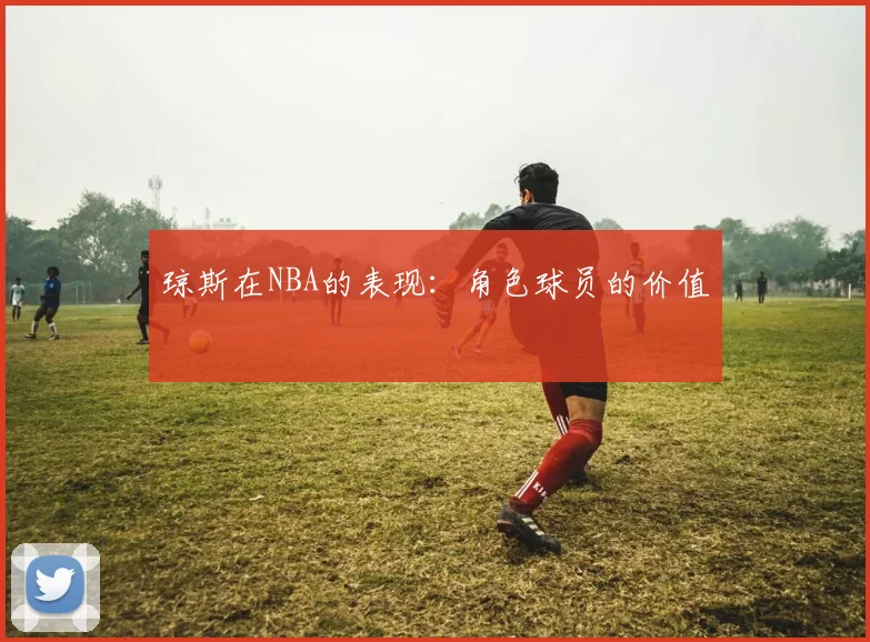 琼斯在NBA的表现：角色球员的价值